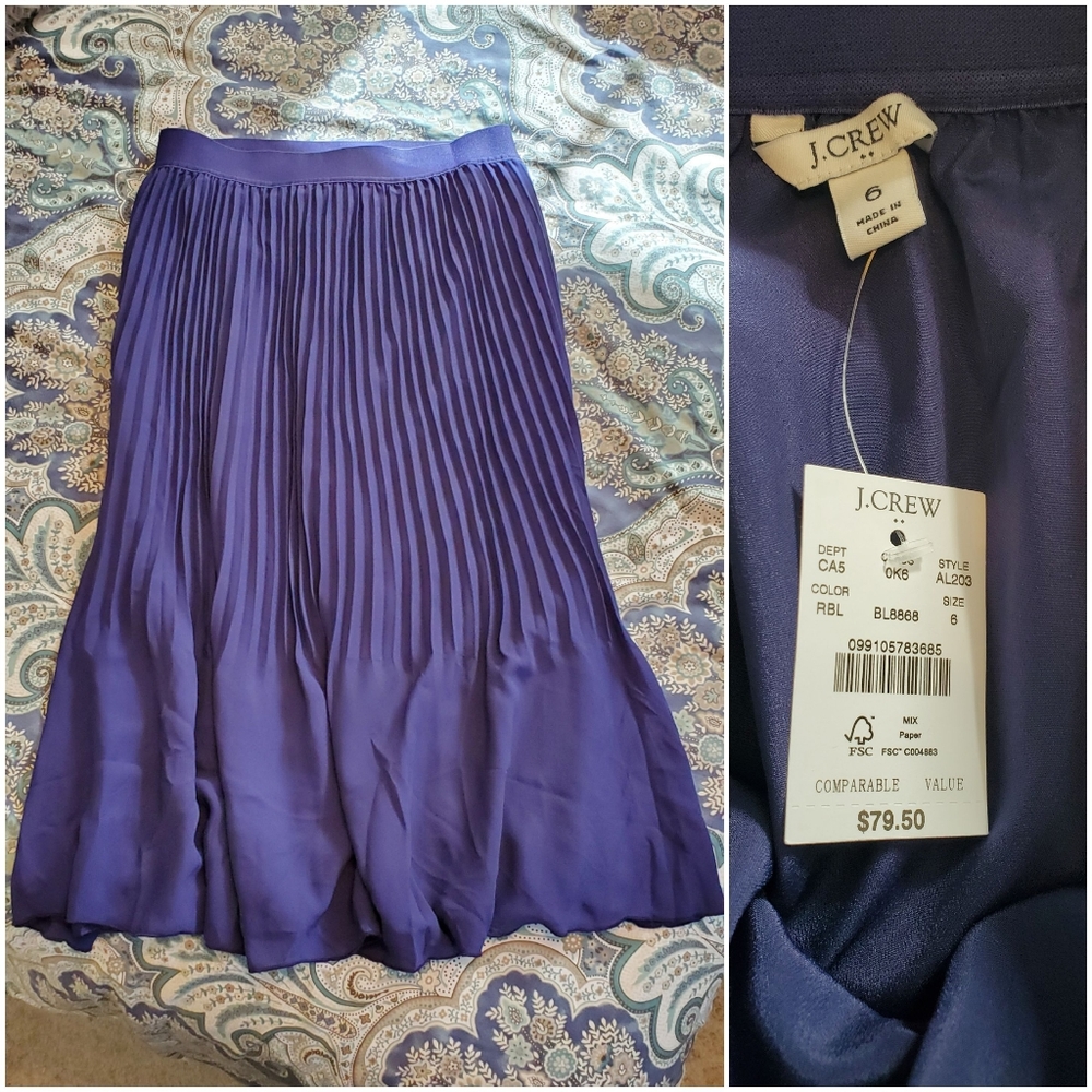 J. Crew Pleated Chiffon Skirt